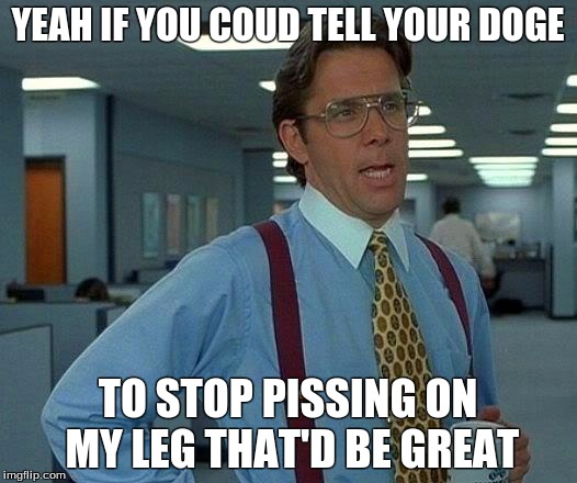 That Would Be Great Meme | YEAH IF YOU COUD TELL YOUR DOGE; TO STOP PISSING ON MY LEG THAT'D BE GREAT | image tagged in memes,that would be great | made w/ Imgflip meme maker