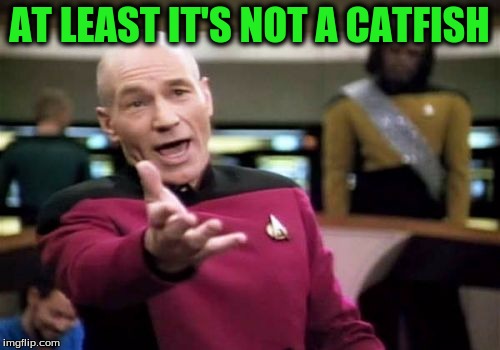 Picard Wtf Meme | AT LEAST IT'S NOT A CATFISH | image tagged in memes,picard wtf | made w/ Imgflip meme maker
