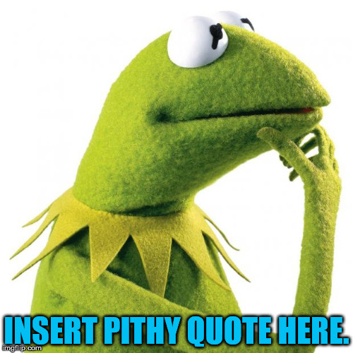 kermit thought | INSERT PITHY QUOTE HERE. | image tagged in kermit thought | made w/ Imgflip meme maker