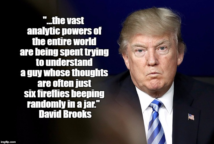 "Donald Trump's Thoughts Are Often Just Six Fireflies Beeping Randomly In A Jar' | "...the vast analytic powers of the entire world are being spent trying to understand a guy whose thoughts are often just six fireflies beeping randomly in a jar."; David Brooks | image tagged in dimwit donald,despicable donald,deplorable donald,dishonorable donald,mafia don,devious donald | made w/ Imgflip meme maker