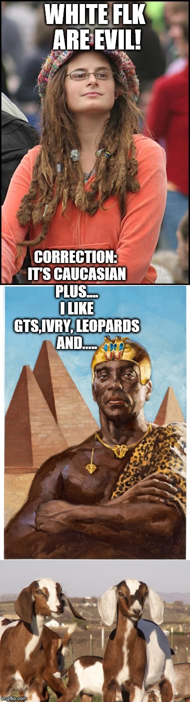 WHITE FLK ARE EVIL! CORRECTION: IT'S CAUCASIAN PLUS.... I LIKE GTS,IVRY, LEOPARDS AND..... | image tagged in funny,but thats none of my business,funny meme | made w/ Imgflip meme maker