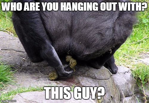 WHO ARE YOU HANGING OUT WITH? THIS GUY? | made w/ Imgflip meme maker