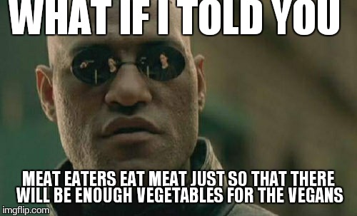 The truth will make you feel like an asshole  | WHAT IF I TOLD YOU; MEAT EATERS EAT MEAT JUST SO THAT THERE WILL BE ENOUGH VEGETABLES FOR THE VEGANS | image tagged in memes,matrix morpheus,vegans | made w/ Imgflip meme maker