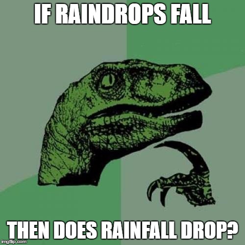 Philosoraptor Meme | IF RAINDROPS FALL; THEN DOES RAINFALL DROP? | image tagged in memes,philosoraptor | made w/ Imgflip meme maker
