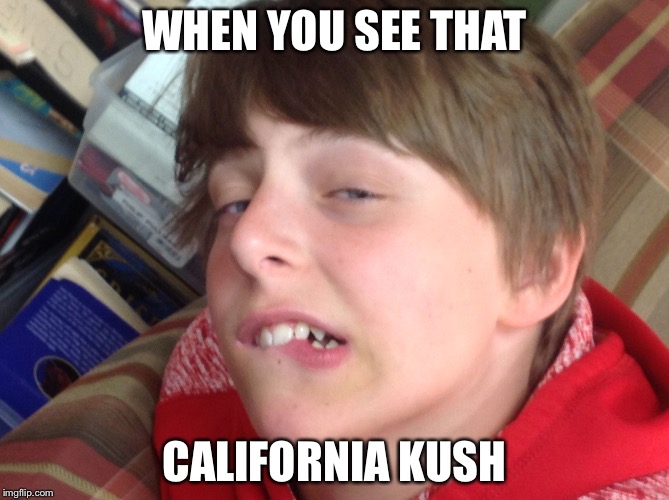 Dylan the dank | WHEN YOU SEE THAT; CALIFORNIA KUSH | image tagged in dylan the dank | made w/ Imgflip meme maker