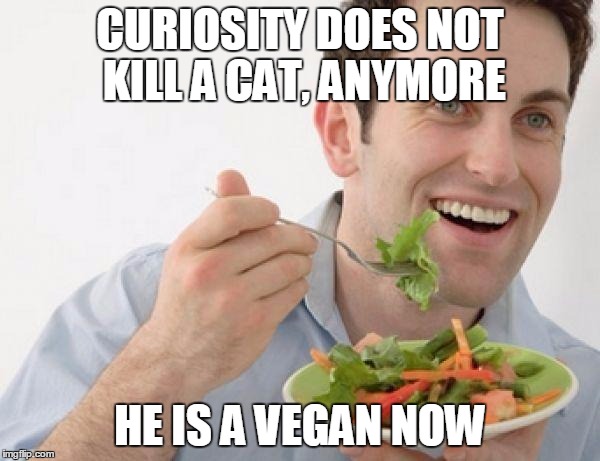 Vegan power | CURIOSITY DOES NOT KILL A CAT, ANYMORE; HE IS A VEGAN NOW | image tagged in vegan power | made w/ Imgflip meme maker
