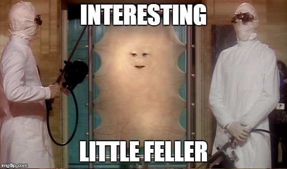 INTERESTING LITTLE FELLER | made w/ Imgflip meme maker