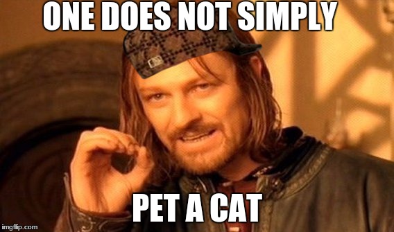 One Does Not Simply Meme | ONE DOES NOT SIMPLY; PET A CAT | image tagged in memes,one does not simply,scumbag | made w/ Imgflip meme maker