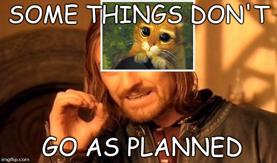 One Does Not Simply | SOME THINGS DON'T; GO AS PLANNED | image tagged in memes,one does not simply | made w/ Imgflip meme maker