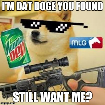 MLG DOGE DA GOD | I'M DAT DOGE YOU FOUND; STILL WANT ME? | image tagged in mlg doge da god | made w/ Imgflip meme maker