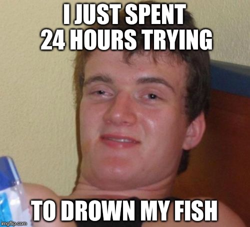 10 Guy | I JUST SPENT 24 HOURS TRYING; TO DROWN MY FISH | image tagged in memes,10 guy | made w/ Imgflip meme maker