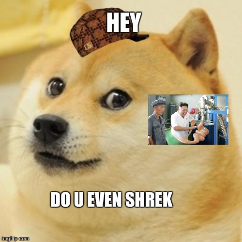 Doge | HEY; DO U EVEN SHREK | image tagged in memes,doge,scumbag | made w/ Imgflip meme maker