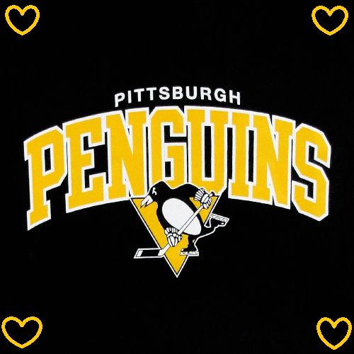 Pittsburgh Penguins Blank Meme Template