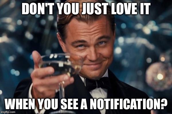 Leonardo Dicaprio Cheers Meme | DON'T YOU JUST LOVE IT WHEN YOU SEE A NOTIFICATION? | image tagged in memes,leonardo dicaprio cheers | made w/ Imgflip meme maker