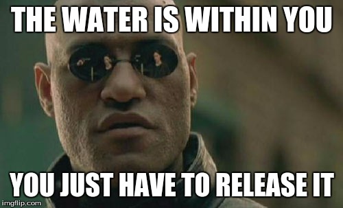 Matrix Morpheus Meme | THE WATER IS WITHIN YOU YOU JUST HAVE TO RELEASE IT | image tagged in memes,matrix morpheus | made w/ Imgflip meme maker