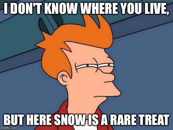 Futurama Fry Meme | I DON'T KNOW WHERE YOU LIVE, BUT HERE SNOW IS A RARE TREAT | image tagged in memes,futurama fry | made w/ Imgflip meme maker