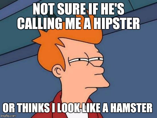 Futurama Fry Meme | NOT SURE IF HE'S CALLING ME A HIPSTER; OR THINKS I LOOK LIKE A HAMSTER | image tagged in memes,futurama fry | made w/ Imgflip meme maker