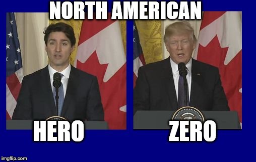 North American Hero | NORTH AMERICAN; HERO                   ZERO | image tagged in justin trudeau,donald trump | made w/ Imgflip meme maker