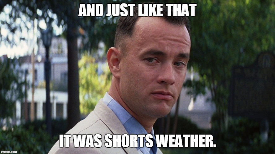 Spring has sprung! ( finally ) | AND JUST LIKE THAT; IT WAS SHORTS WEATHER. | image tagged in reality | made w/ Imgflip meme maker