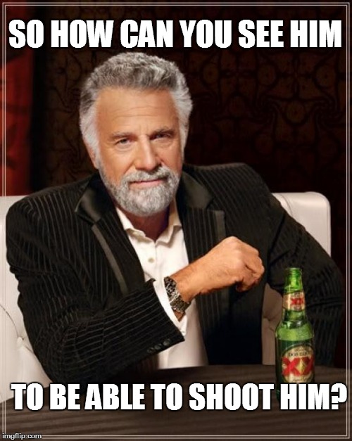 The Most Interesting Man In The World Meme | SO HOW CAN YOU SEE HIM TO BE ABLE TO SHOOT HIM? | image tagged in memes,the most interesting man in the world | made w/ Imgflip meme maker