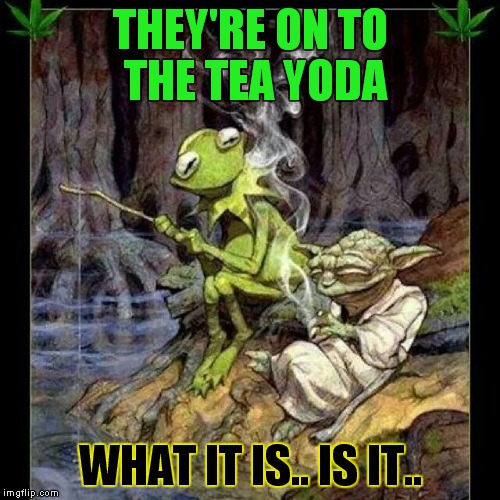 THEY'RE ON TO THE TEA YODA WHAT IT IS.. IS IT.. | made w/ Imgflip meme maker