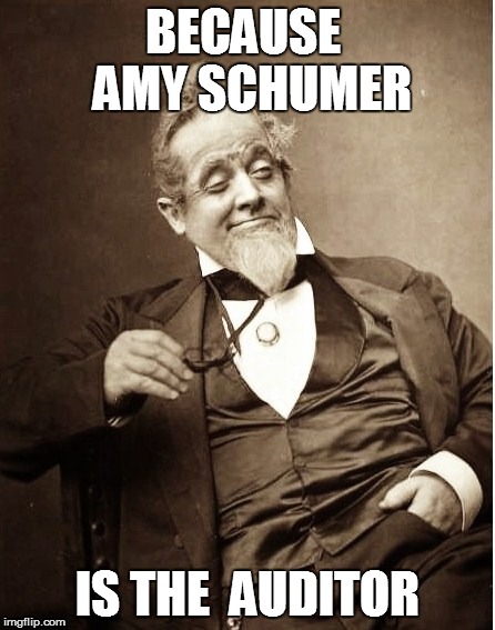 BECAUSE  AMY SCHUMER IS THE  AUDITOR | made w/ Imgflip meme maker