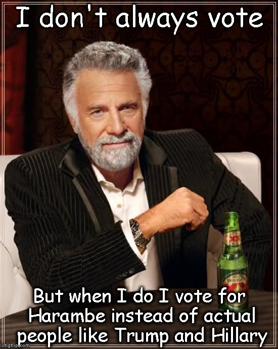 I don't always vote for people | I don't always vote; But when I do I vote for Harambe instead of actual people like Trump and Hillary | image tagged in memes,the most interesting man in the world,trumpvhillary | made w/ Imgflip meme maker