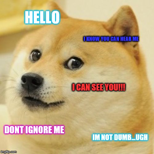 Doge Meme | HELLO; I KNOW YOU CAN HEAR ME; I CAN SEE YOU!!! DONT IGNORE ME; IM NOT DUMB...UGH | image tagged in memes,doge | made w/ Imgflip meme maker