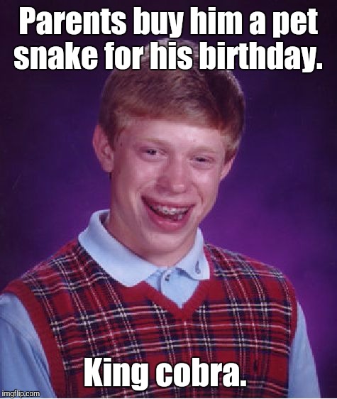 Bad Luck Brian Meme | Parents buy him a pet snake for his birthday. King cobra. | image tagged in memes,bad luck brian | made w/ Imgflip meme maker