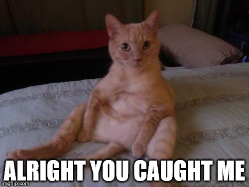 Chester The Cat Meme | ALRIGHT YOU CAUGHT ME | image tagged in memes,chester the cat | made w/ Imgflip meme maker