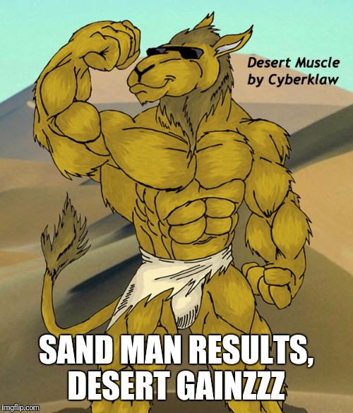 Fitness camel | SAND MAN RESULTS, DESERT GAINZZZ | image tagged in memes,humpday,comedy | made w/ Imgflip meme maker