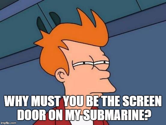 Futurama Fry Meme | WHY MUST YOU BE THE SCREEN DOOR ON MY SUBMARINE? | image tagged in memes,futurama fry | made w/ Imgflip meme maker