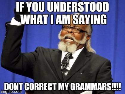 Too Damn High Meme |  IF YOU UNDERSTOOD WHAT I AM SAYING; DONT CORRECT MY GRAMMARS!!!! | image tagged in memes,too damn high | made w/ Imgflip meme maker