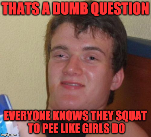 10 Guy Meme | THATS A DUMB QUESTION EVERYONE KNOWS THEY SQUAT TO PEE LIKE GIRLS DO | image tagged in memes,10 guy | made w/ Imgflip meme maker