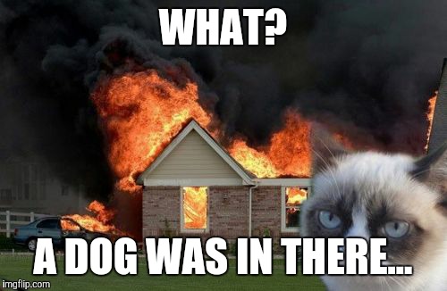 Burn Kitty Meme | WHAT? A DOG WAS IN THERE... | image tagged in memes,burn kitty,grumpy cat | made w/ Imgflip meme maker