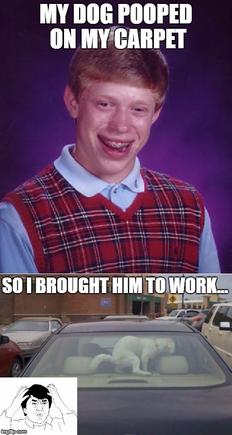 MY DOG POOPED ON MY CARPET; SO I BROUGHT HIM TO WORK... | image tagged in bad luck brian,poop joke,jackie chan | made w/ Imgflip meme maker