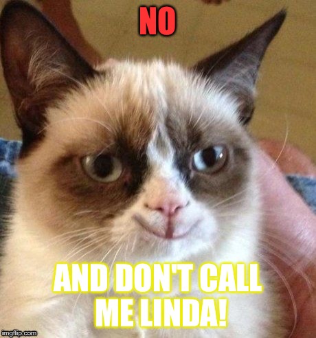 grumpy smile | NO AND DON'T CALL ME LINDA! | image tagged in grumpy smile | made w/ Imgflip meme maker