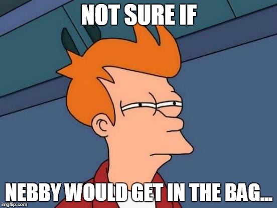 Futurama Fry | NOT SURE IF; NEBBY WOULD GET IN THE BAG... | image tagged in memes,futurama fry | made w/ Imgflip meme maker