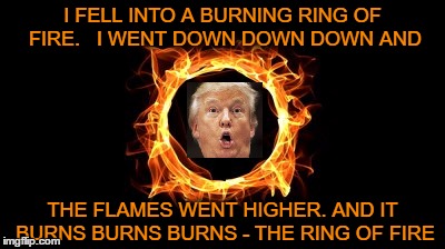 I FELL INTO A BURNING RING OF FIRE.  
I WENT DOWN DOWN DOWN AND; THE FLAMES WENT HIGHER. AND IT BURNS BURNS BURNS -
THE RING OF FIRE | image tagged in donald trump | made w/ Imgflip meme maker
