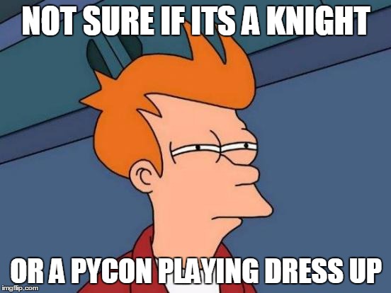 Futurama Fry Meme | NOT SURE IF ITS A KNIGHT; OR A PYCON PLAYING DRESS UP | image tagged in memes,futurama fry | made w/ Imgflip meme maker