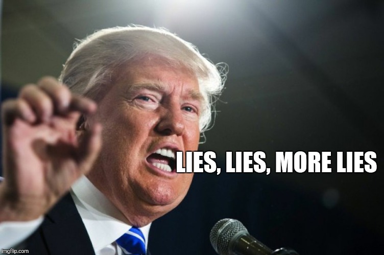 donald trump | LIES, LIES, MORE LIES | image tagged in donald trump | made w/ Imgflip meme maker