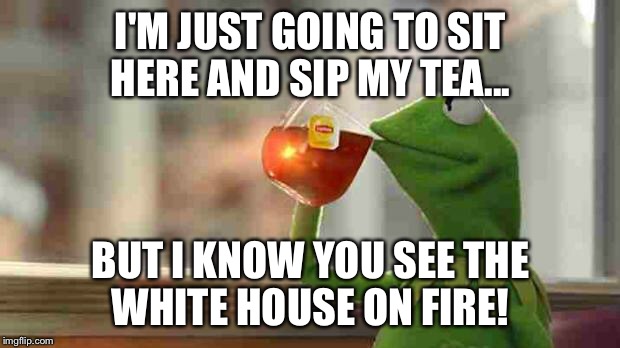 Kermit sipping tea | I'M JUST GOING TO SIT HERE AND SIP MY TEA... BUT I KNOW YOU SEE THE WHITE HOUSE ON FIRE! | image tagged in kermit sipping tea | made w/ Imgflip meme maker