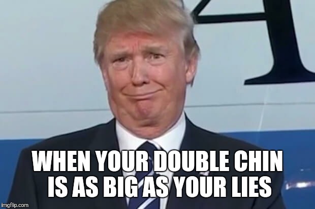 donald trump |  WHEN YOUR DOUBLE CHIN IS AS BIG AS YOUR LIES | image tagged in donald trump | made w/ Imgflip meme maker