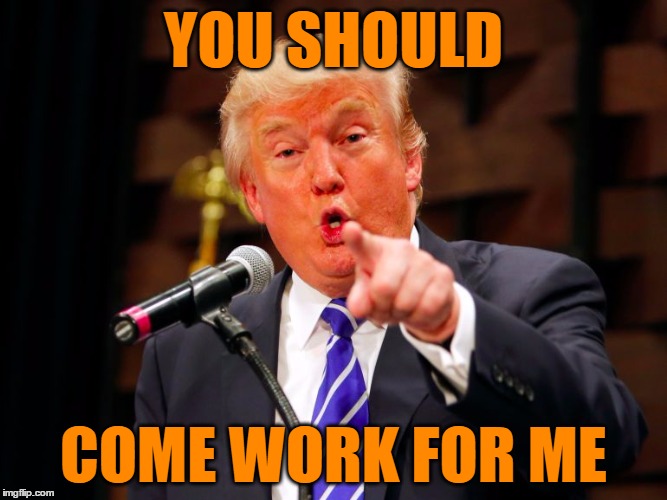 trump point | YOU SHOULD COME WORK FOR ME | image tagged in trump point | made w/ Imgflip meme maker