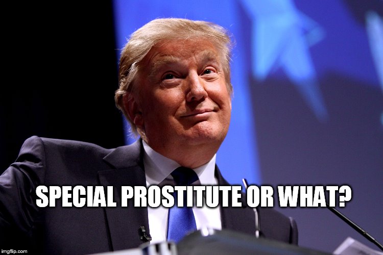 I don't know all the ins and outs | SPECIAL PROSTITUTE OR WHAT? | image tagged in donald trump no2 | made w/ Imgflip meme maker