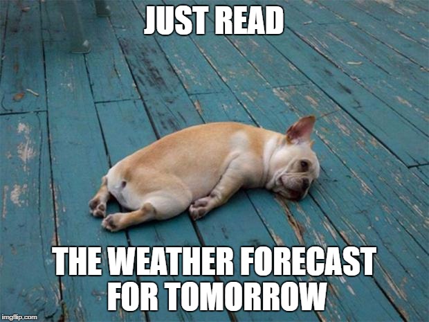 Sadness | JUST READ; THE WEATHER FORECAST FOR TOMORROW | image tagged in sadness | made w/ Imgflip meme maker
