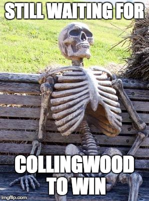 Waiting Skeleton | STILL WAITING FOR; COLLINGWOOD TO WIN | image tagged in memes,waiting skeleton | made w/ Imgflip meme maker