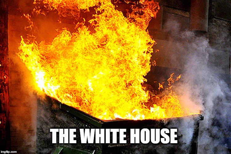 The Donald Trump White House | THE WHITE HOUSE | image tagged in the donald trump white house,the white house,dumpsterfire,donald trump,donald trump you're fired | made w/ Imgflip meme maker