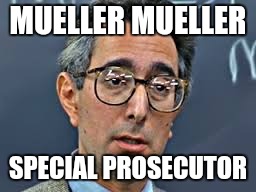MUELLER MUELLER; SPECIAL PROSECUTOR | image tagged in r osenstein said | made w/ Imgflip meme maker