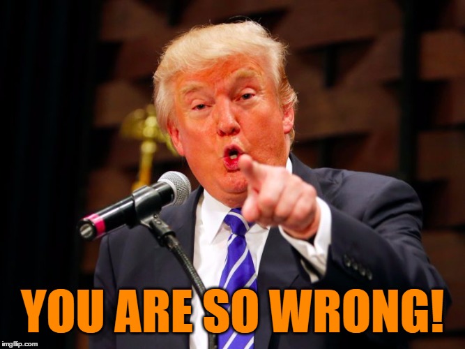 trump point | YOU ARE SO WRONG! | image tagged in trump point | made w/ Imgflip meme maker